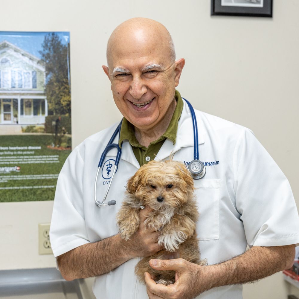 a doctor with a cute puppy