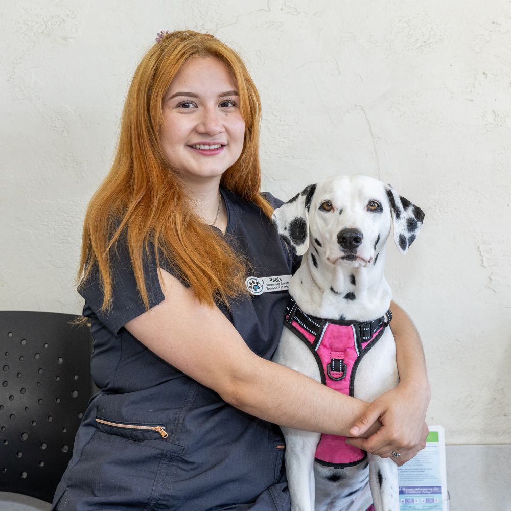 A vet with a dog
