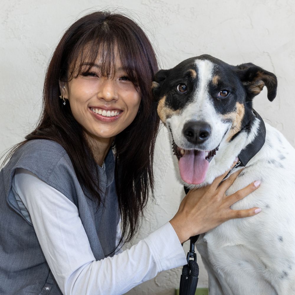 A vet with a happy dog
