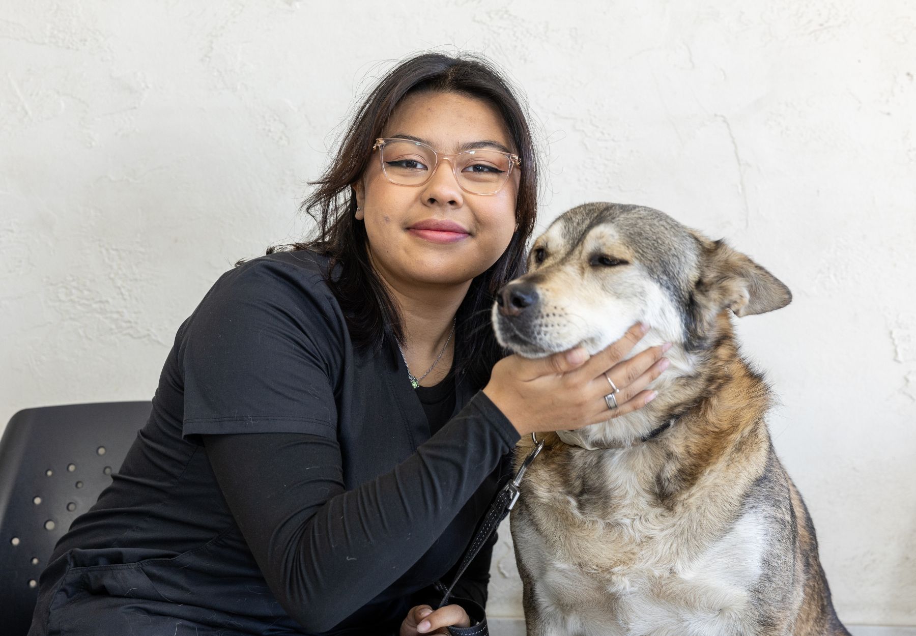 a person petting a dog