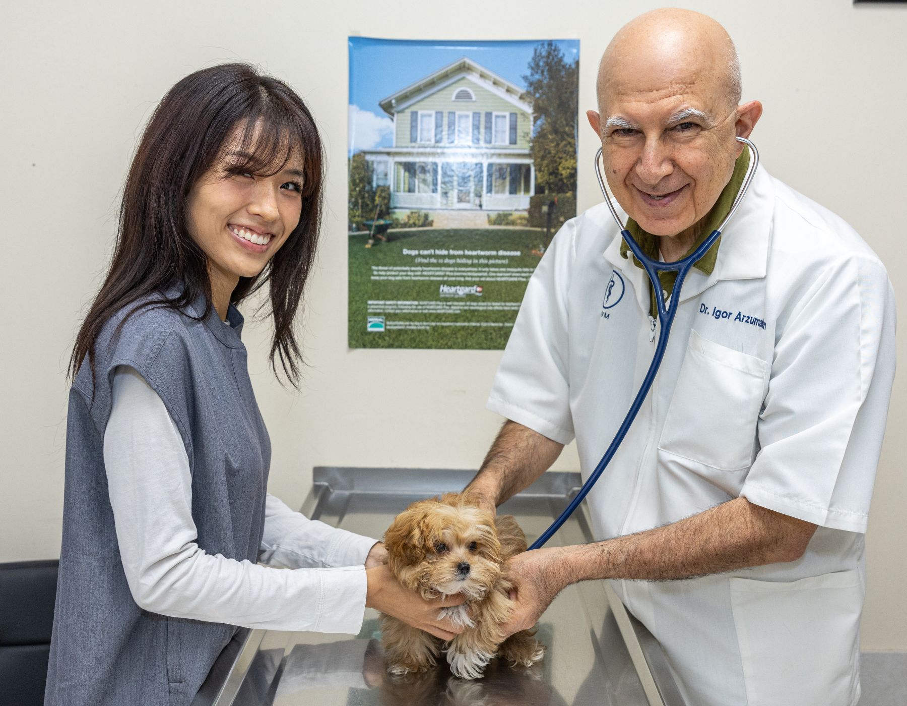 A doctor examines a dog