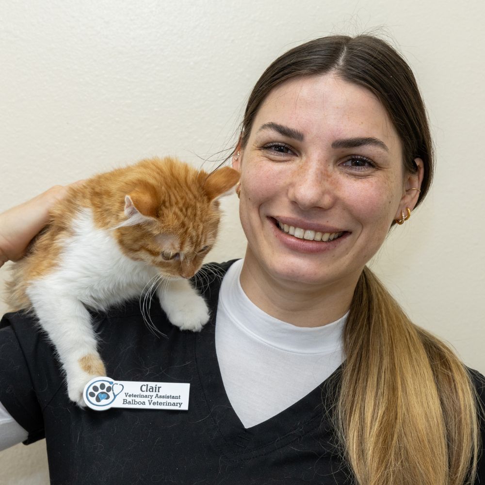 Clair Schlueter Veterinary Assistant