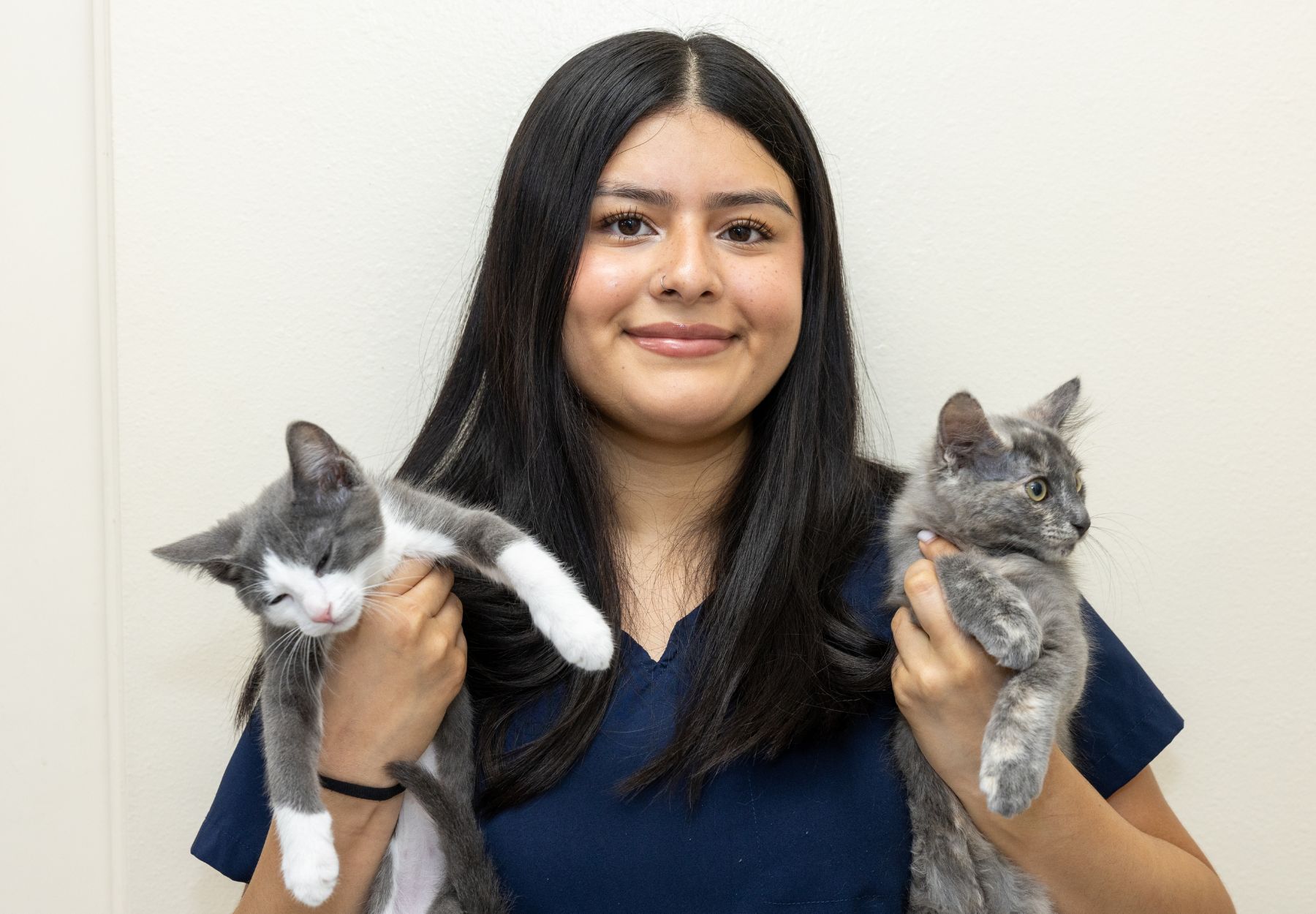 Pet Spay and Neuter